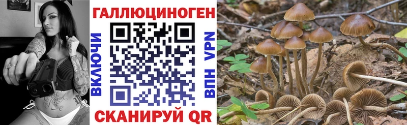 Псилоцибиновые грибы ЛСД  Абдулино 